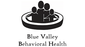 You are currently viewing Blue Valley Behavioral Health: Empowering Mental Wellness and Healing